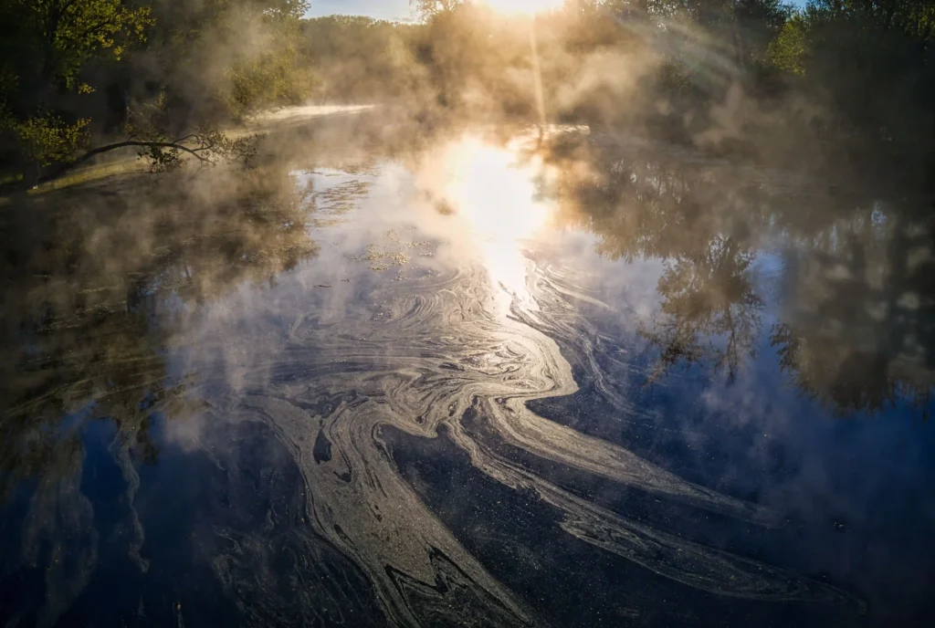 Contaminated water surface illustrating persistent chemical pollution